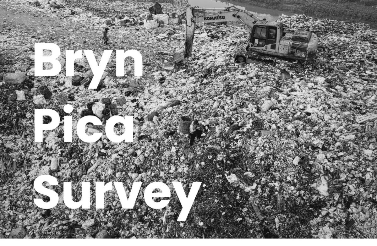 Bryn Pica Survey 2026